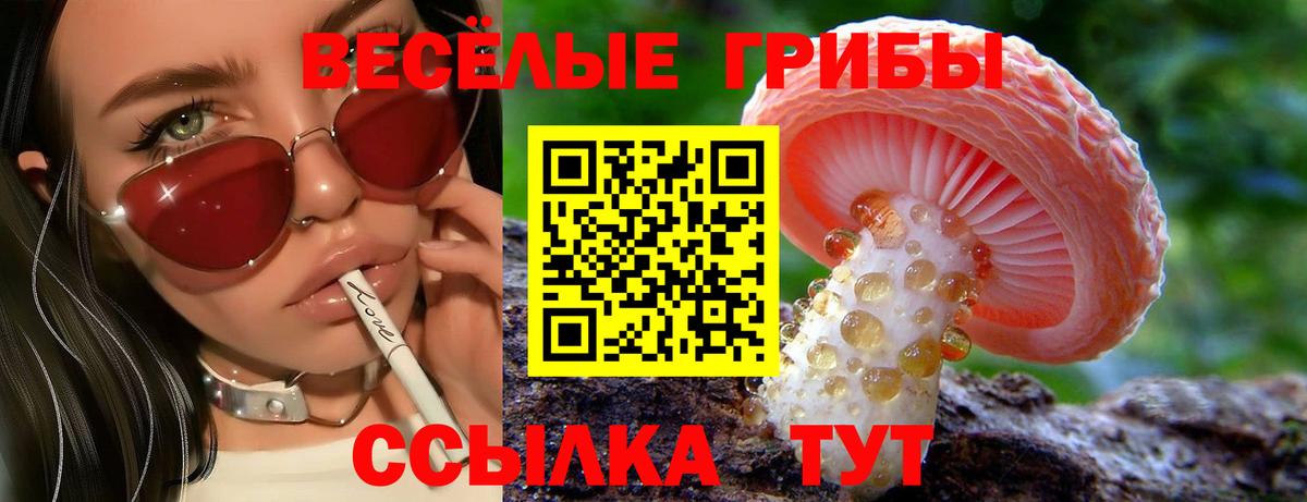 Екатеринбург  Псилоцибиновые грибы Cubensis  Псилоцибиновые грибы мухоморы  Вход с VPN 